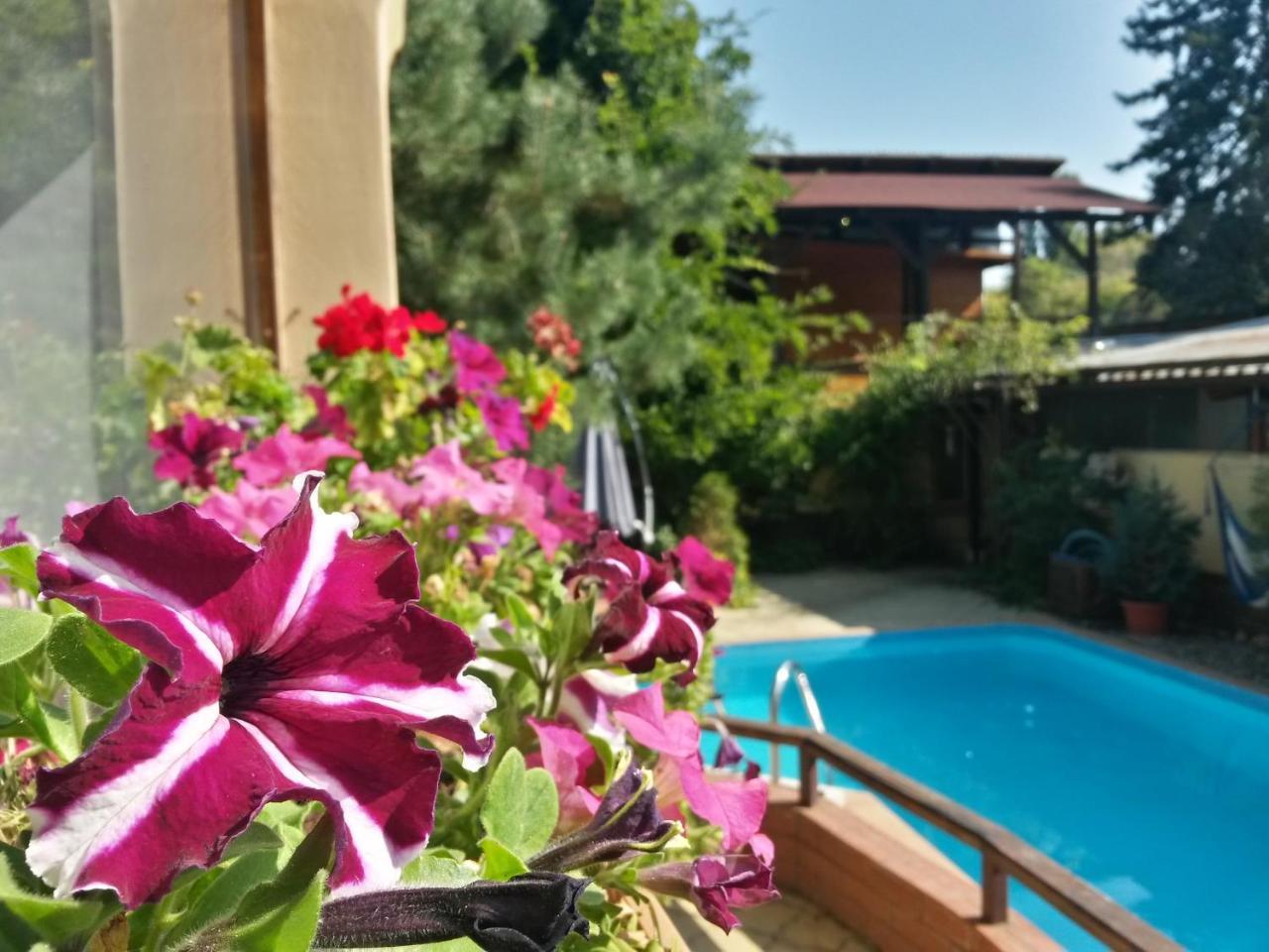 Casa Mica Guesthouse Букурещ Екстериор снимка