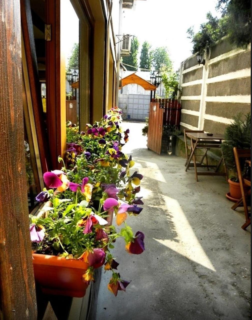 Casa Mica Guesthouse Букурещ Екстериор снимка